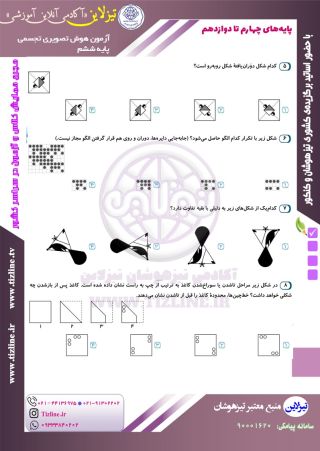 نمونه سوال هوش تصویری - تجسمی پایه ششم صفحه 2